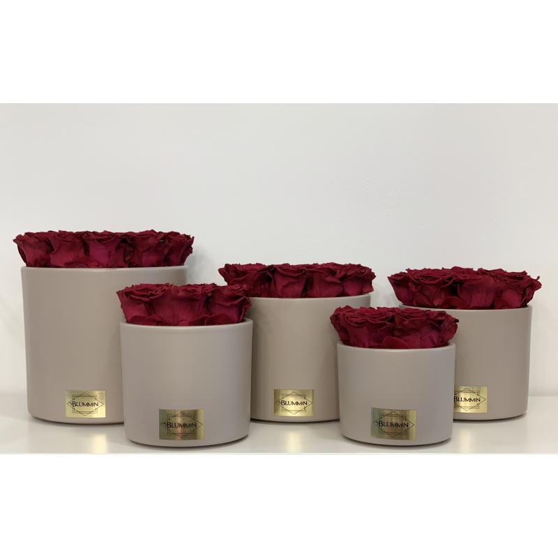 BEIGE CERAMIC POT WITH CHERRY ROSES