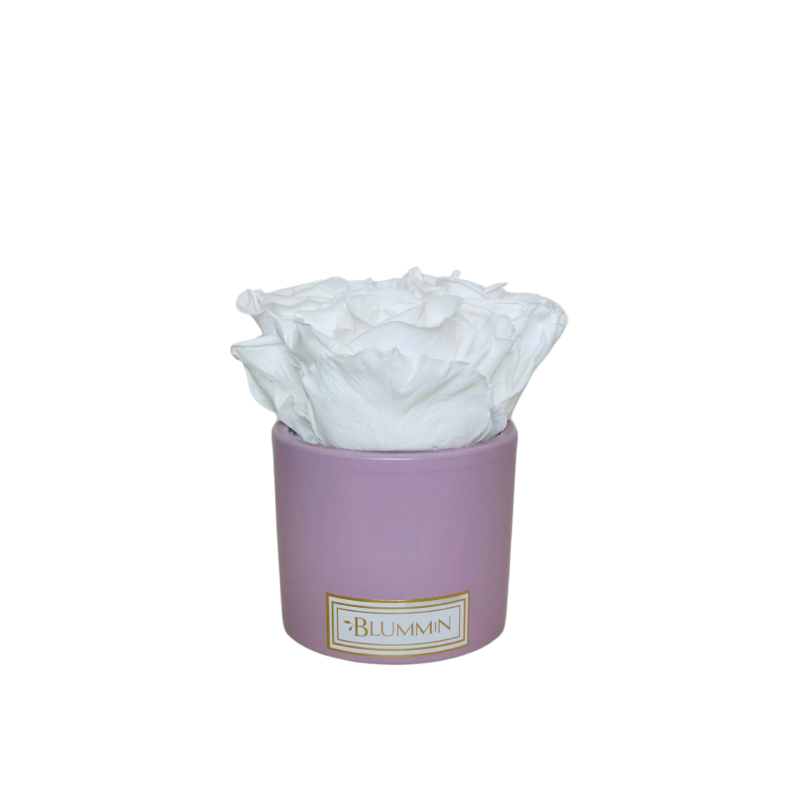 ROOSA KERAAMIKA WHITE MAGAVAD ROOSID.png