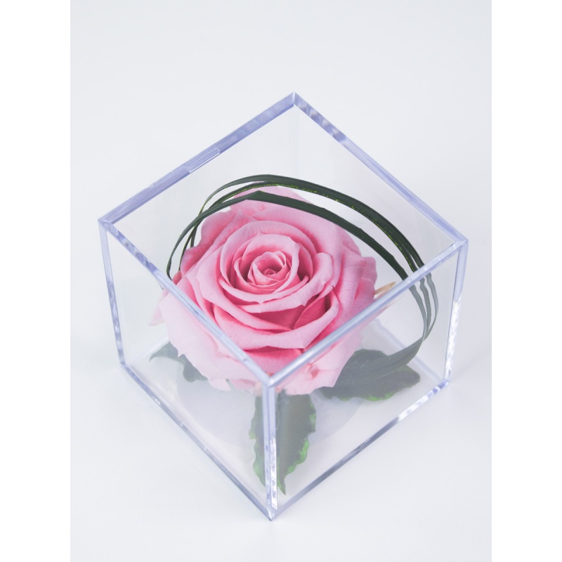 roze-eeuwige-roos-in-acrylbox-8720174084522-a.jpg
