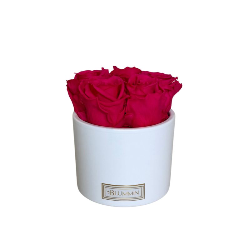 tootepildid 2025-1.png