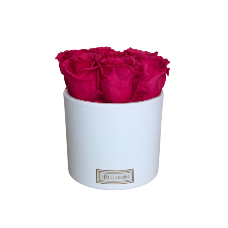 tootepildid 2025-3.png