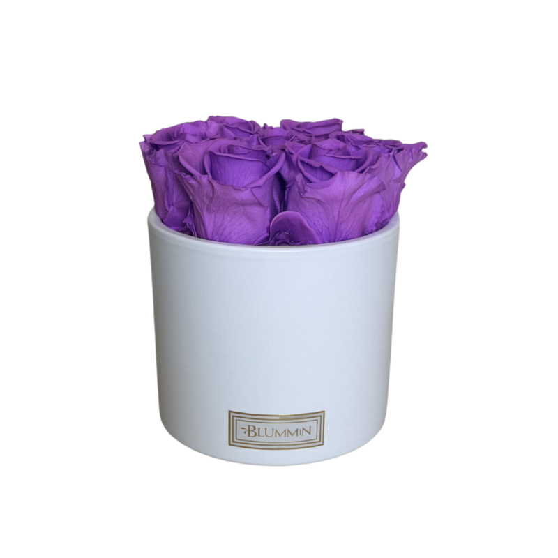 tootepildid 2025-4.png