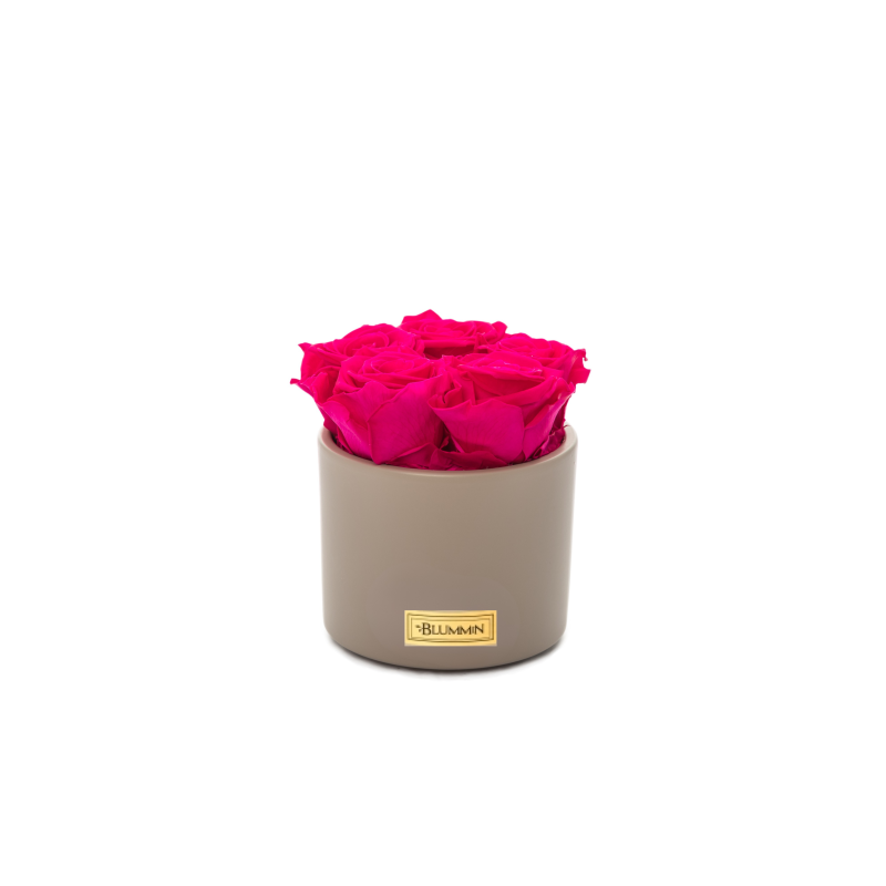 Untitled design-167.png