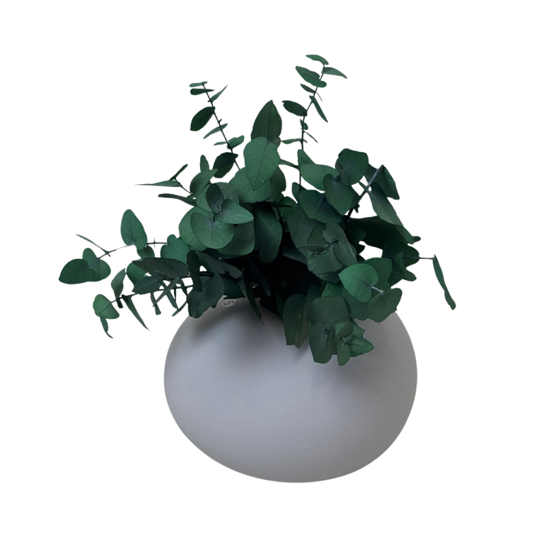 Untitled design-177.png