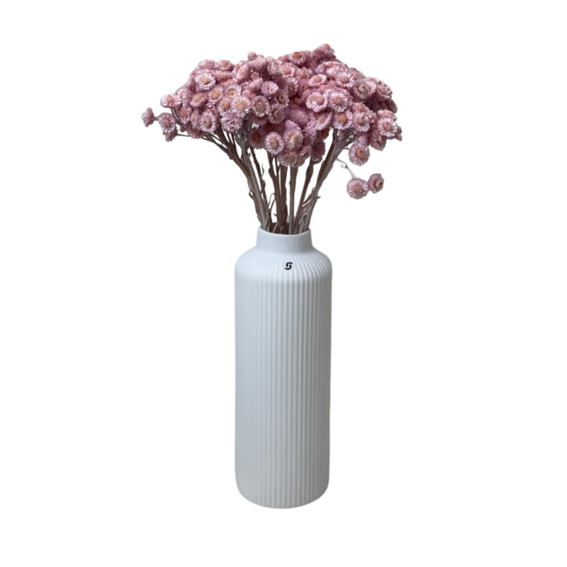 Untitled design-178.png