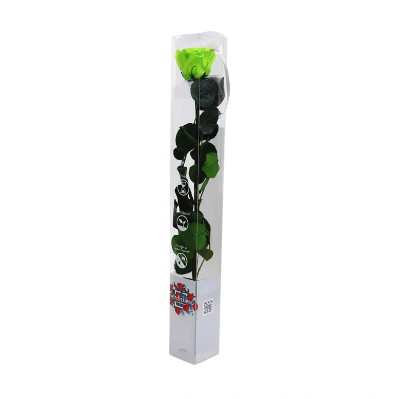 PRZ1170-05-rosa-tallo-standard_760x.jpg.webp