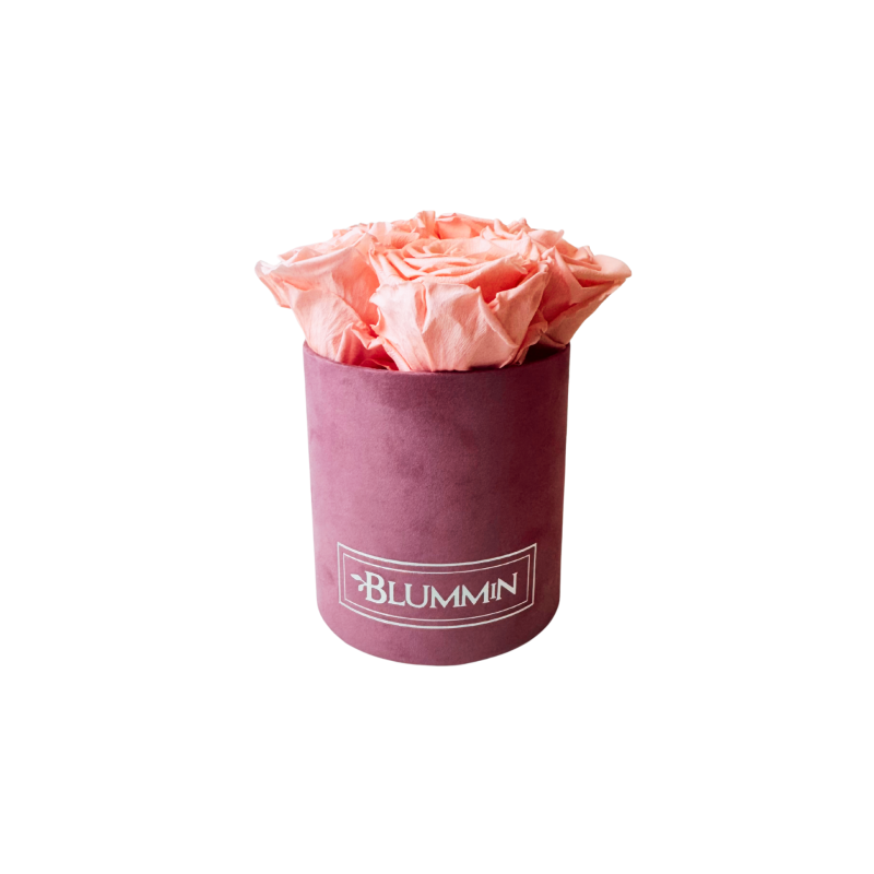 Untitled design-210.png