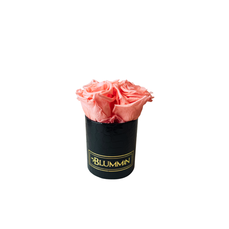 Untitled design-217.png