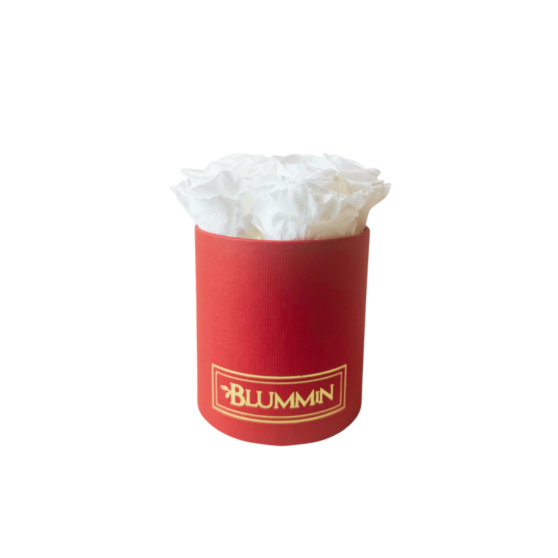 Untitled design-223.png