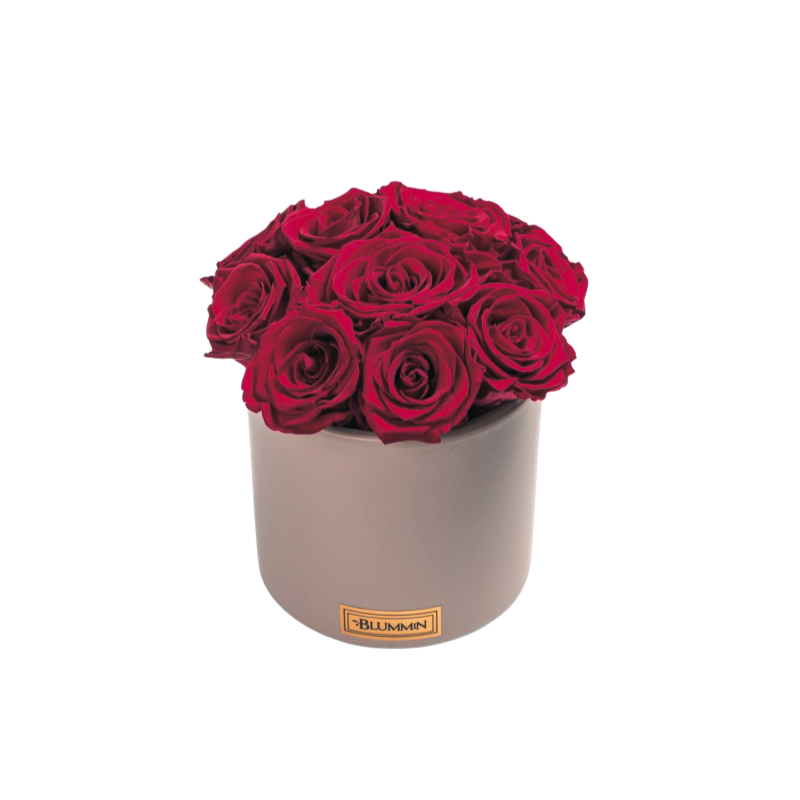 Untitled design-226.png