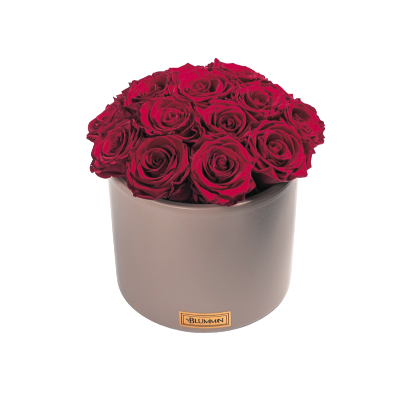Untitled design-227.png