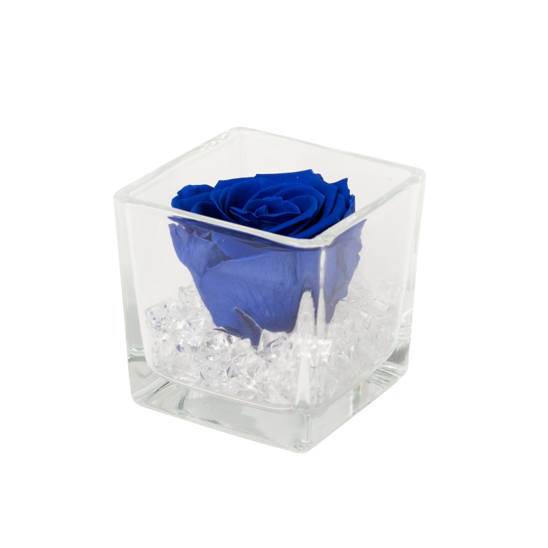 Untitled design-235.png