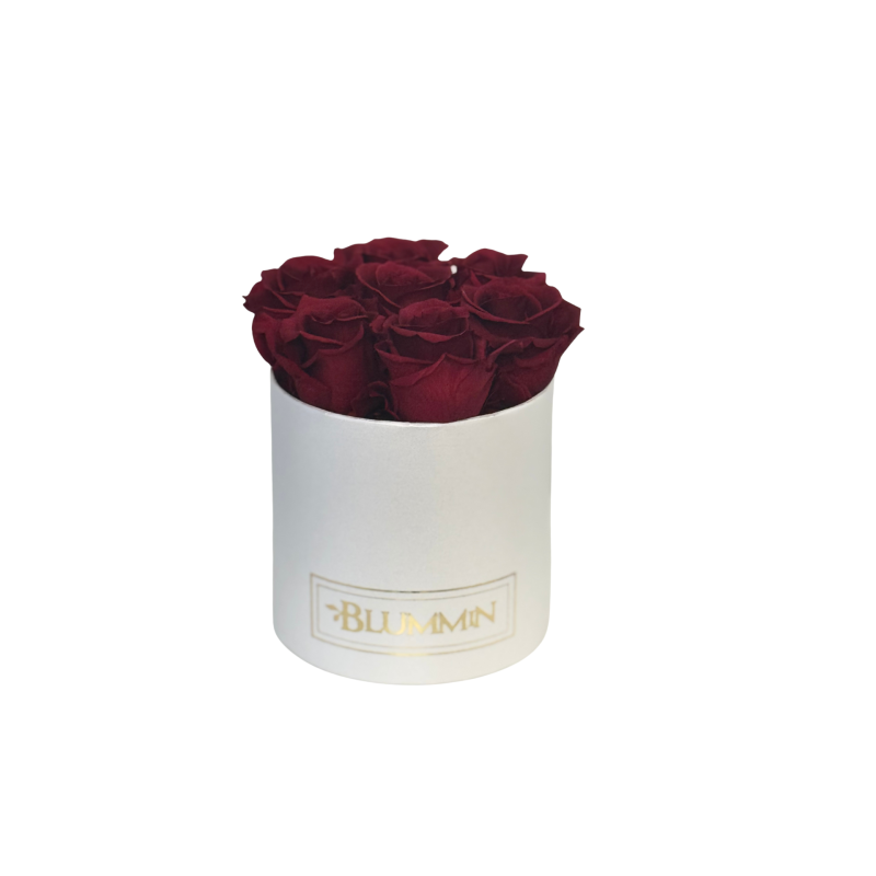 Untitled design-194.png