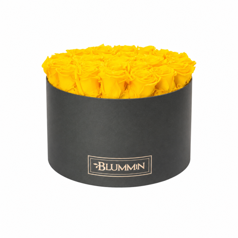  Kauasäiliv roosikarp 25 kollase roosiga - tumehall karp.png