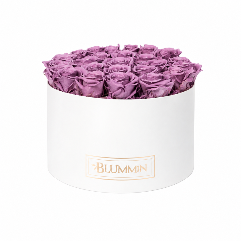  Kauasäiliv roosikarp 25 lilla roosiga - valge karp (Lilac).png