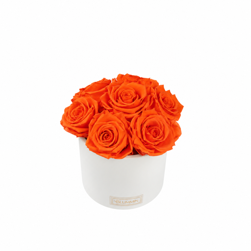  Kauasäilivad 7 oranži roosi valges keraamikas bukett.png