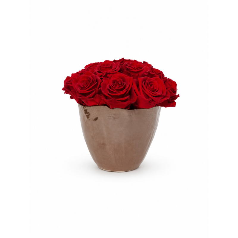 0b0ec6bc-aff6-4805-acca-58f268ddcbd6.png