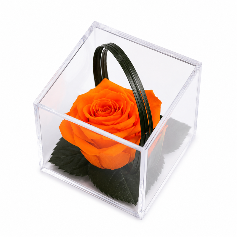 293abc7d-8190-4311-ab07-5164c3ea27fc.png