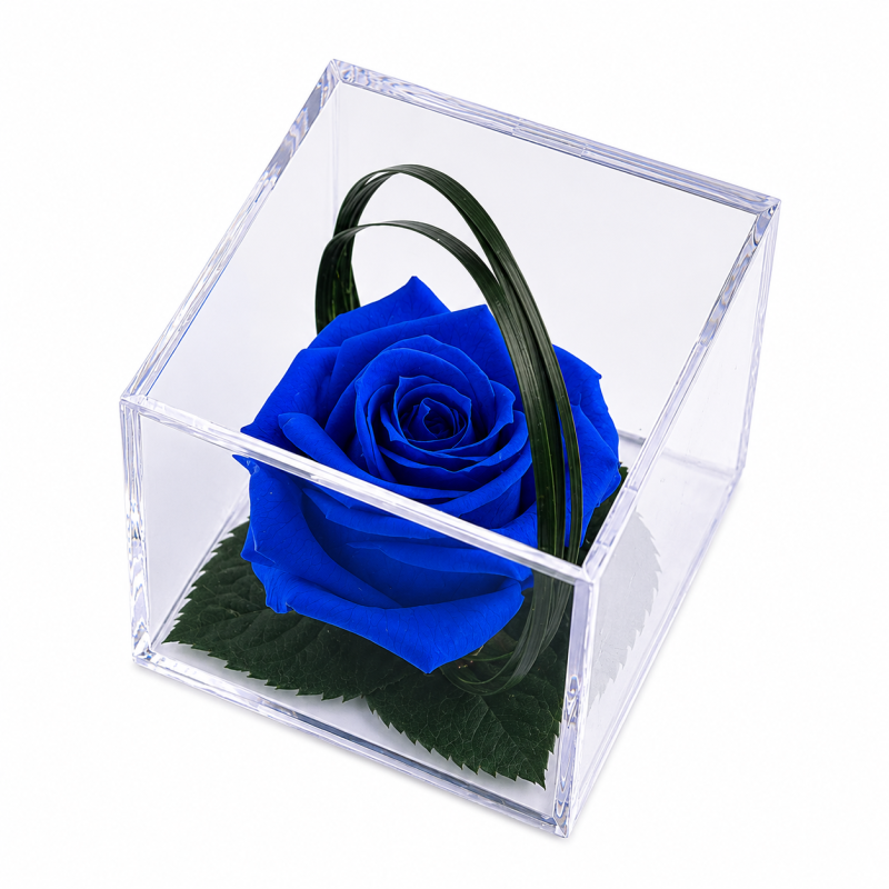 3a8b2a0a-fdc4-4ace-b2ca-5f4e79a66045.png