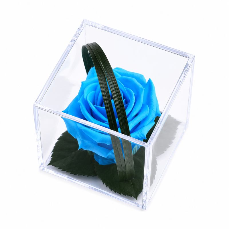 4a1b8138-7bb5-4e48-a9fe-719cdd361866.png
