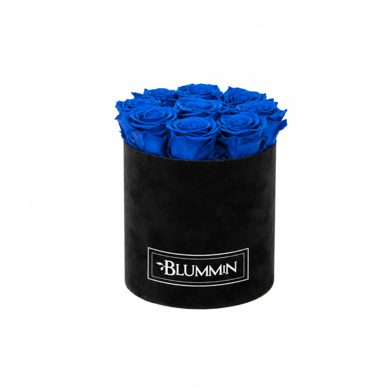 5e13dbeb-eeea-4aca-af66-91ac98c60e28.png