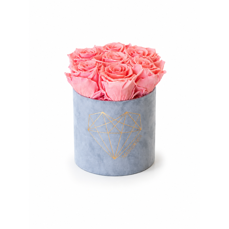 64d539a9-cf37-42dd-b405-f8bc9b92b3d3.png
