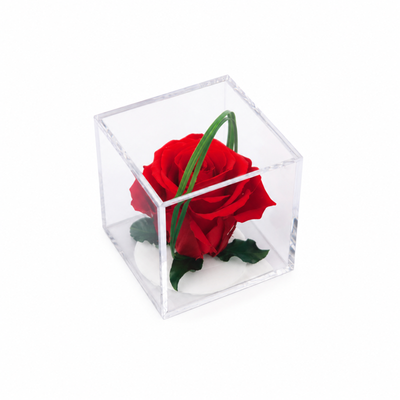 6d8f6940-55e2-4c7c-b910-7680a1192ecd.png