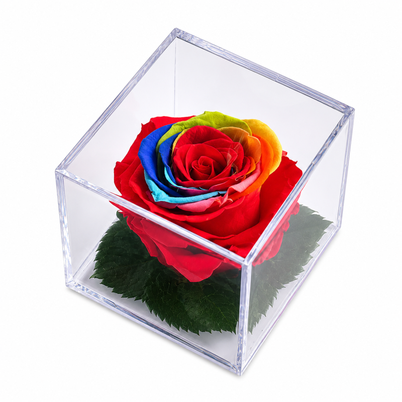 805c5ea7-73c1-46e4-b8e3-1941d8136e34.png