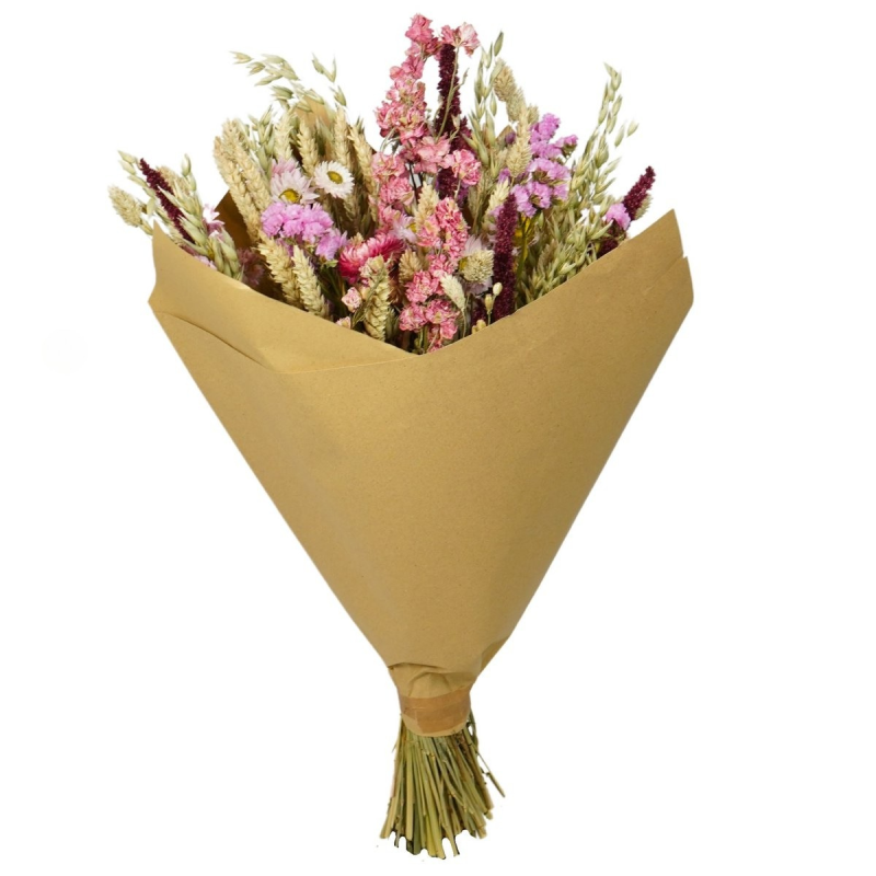 KIMP KUIVATATUD TAIMEDEST - No.4-4.png