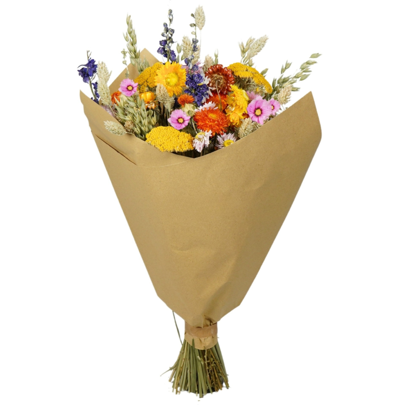 KIMP%20KUIVATATUD%20TAIMEDEST%20-%20No.9-11.png