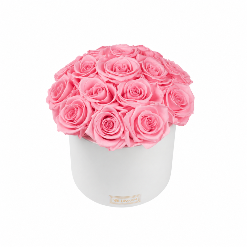 Kauasäilivad 15 roosat roosi valges keraamikas bukett (Bridal Pink).png