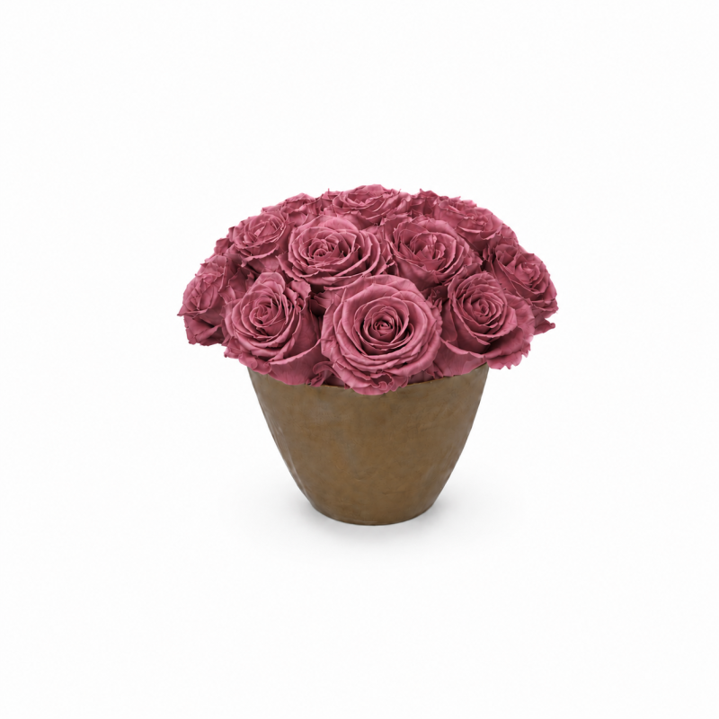 Kauasäilivad 17–19 vanaroosat roosi pronksivärvi keraamilises vaasis bukett (Vintage Pink)-.0.png