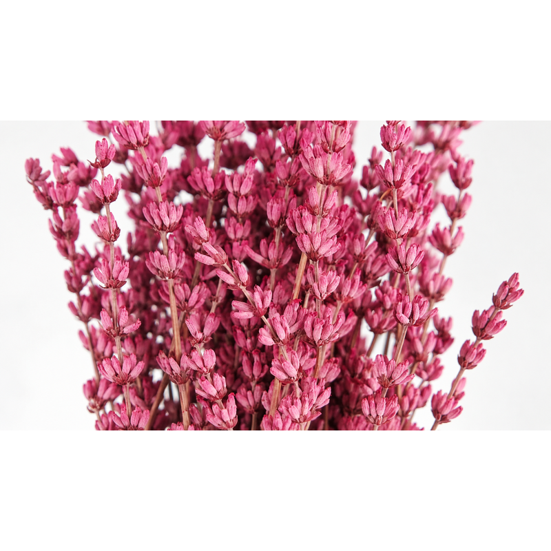 Kauasäiliv lavendel roosa-1.png