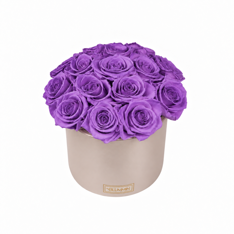 Kauasäilivad 15 lillat roosi beežis keraamikas bukett (Violet Vain).png