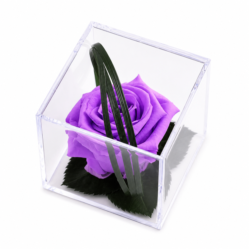 aa188716-220f-479b-9aa9-692a646a345d.png