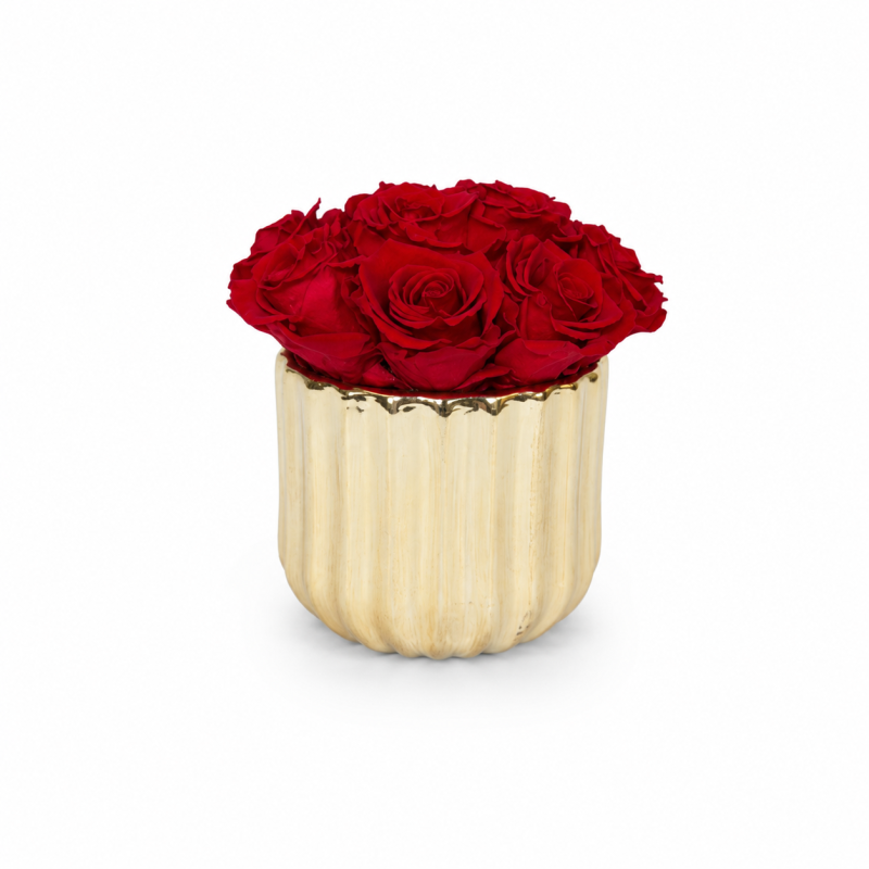 c52c130d-c90f-47de-bf28-32b9f4566f38.png