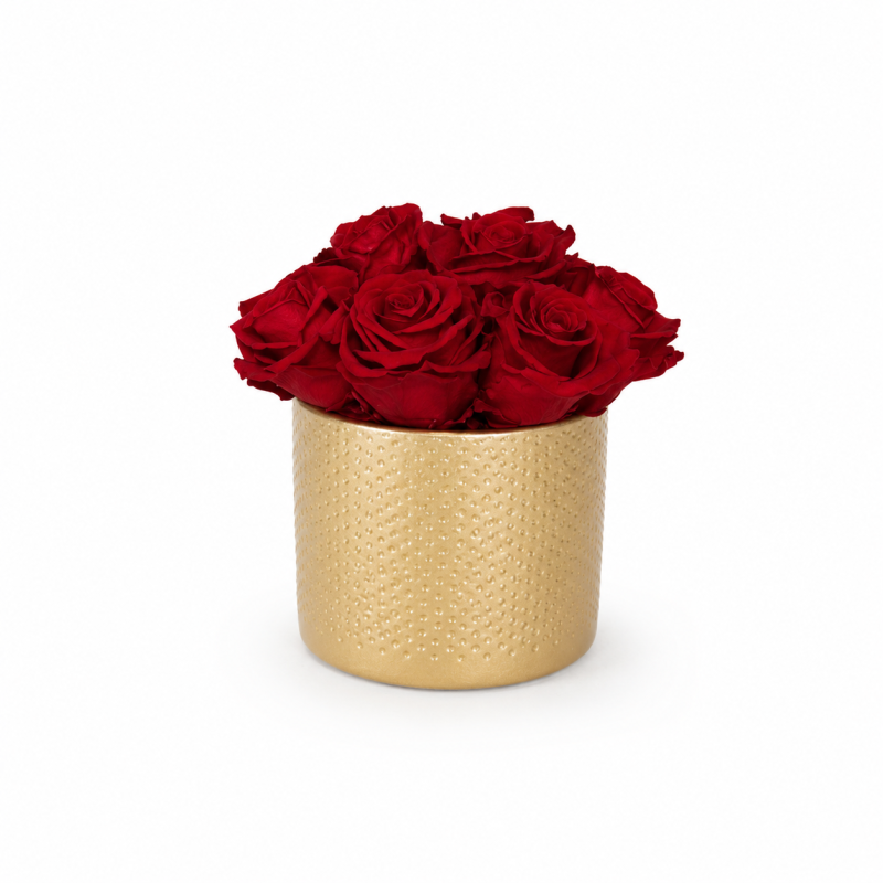 d979657e-5c49-4f7d-b41a-dff05babf7b7.png