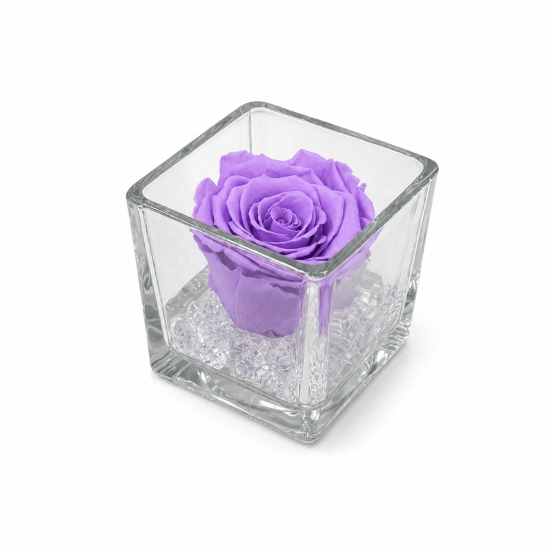 dac3c11c-f592-4348-852f-7e07d427b5dd.png