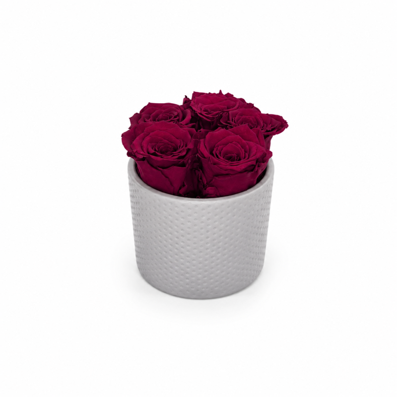 e4378c3c-b3ba-4715-a4cc-8964c057a58f.png