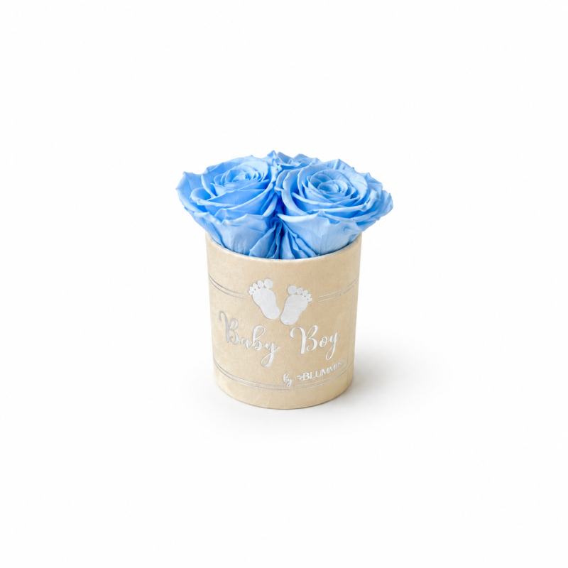 f4b4220d-aa47-4542-9f11-62c8dc756a46.png