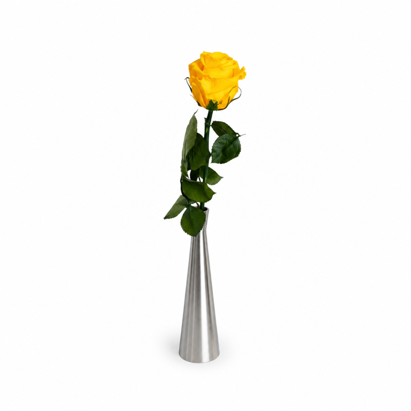 f7a309e4-7c82-464f-a2da-b7fda54151ef.png