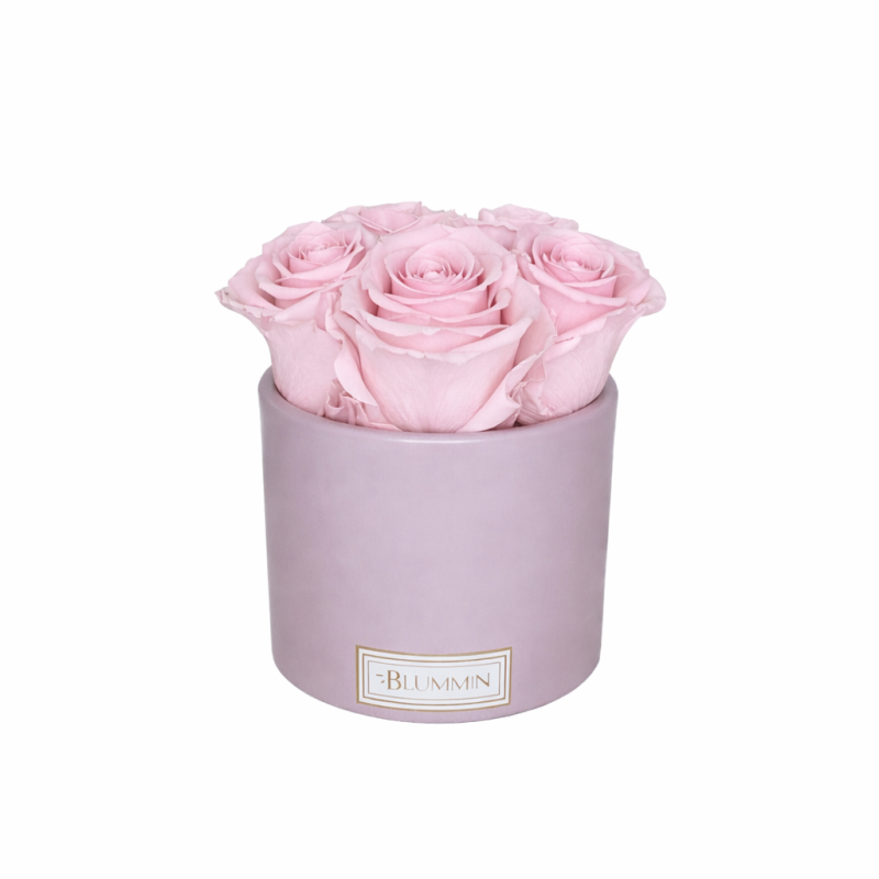 5 ROOSI - ROOSA KERAAMIKA HELEROOSADE ROOSIDEGA.png