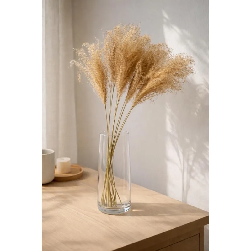 BLUMMIN_MISCANTHUS.jpg
