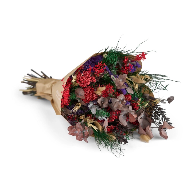 KUIVATATUD TAIMED BLUMMIN KIMBUD KULLER TALLINNAS EMADAPÄEV.JPG