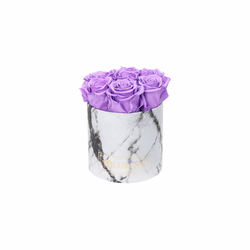 MARMORIST POTIS LILLED.png