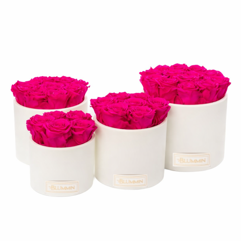 VALGE KERAAMIKA ERKROOSADE ROOSIDEGA.png