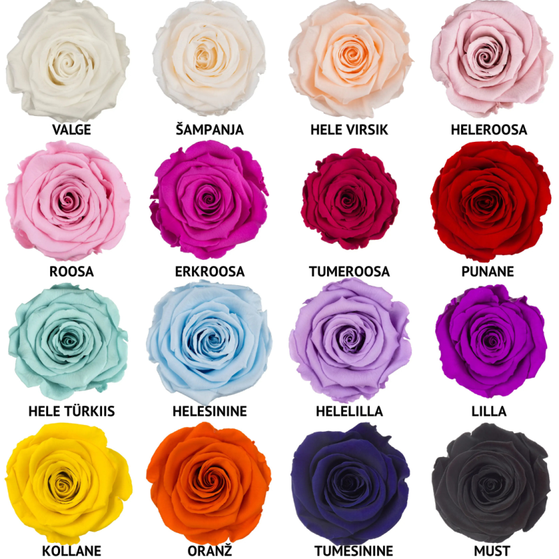 Vali roosi värv-3.png