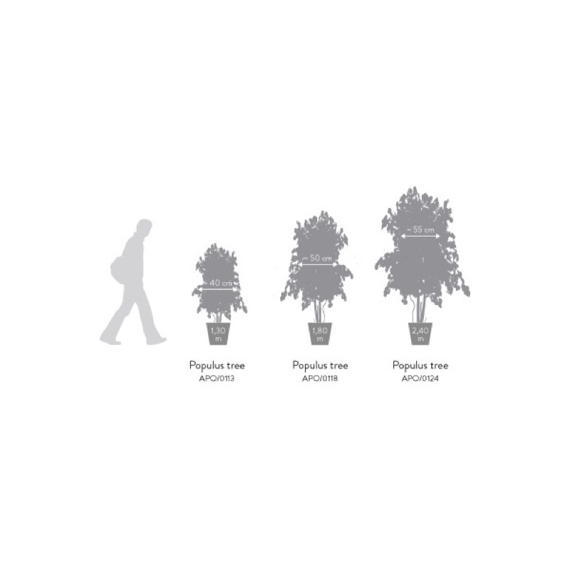 APO0113-4-slim-populus.png.jpeg