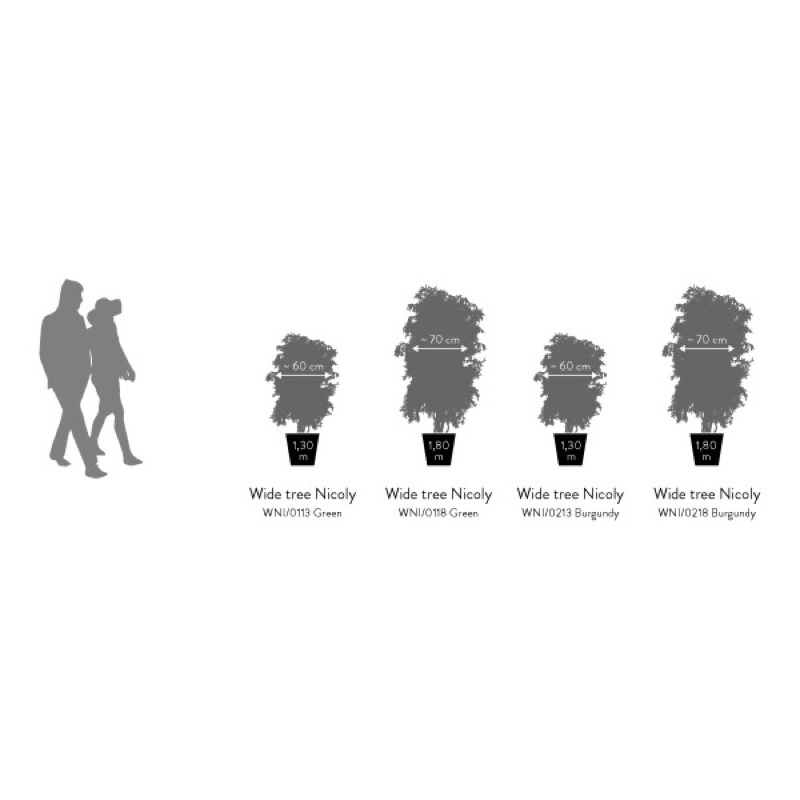 WNI0213-4-wide-nicoly.png.jpeg