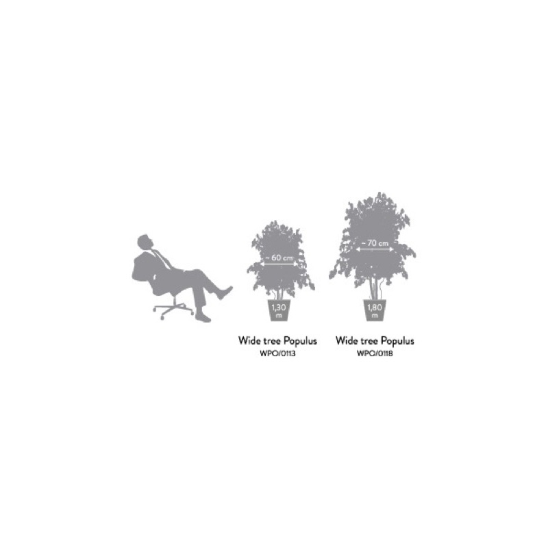WPO0113-4-wide-populus.png.jpeg